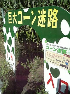 Image306.jpg