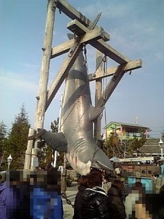 02_JAWS.jpg